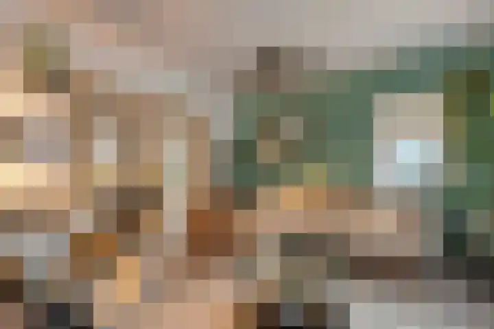 Zandspeur 16 Nieuwleusen thumbnail 14