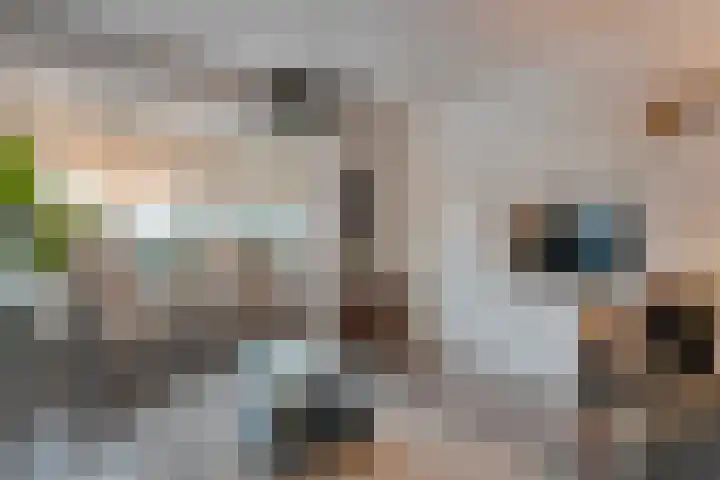 Zandspeur 16 Nieuwleusen thumbnail 15