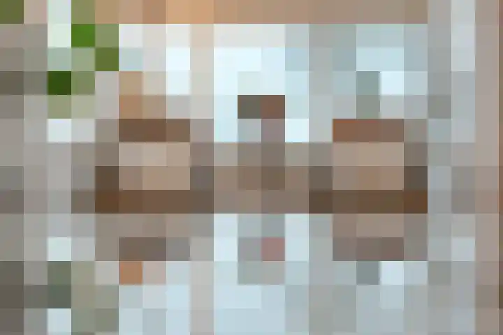 Zandspeur 16 Nieuwleusen thumbnail 16