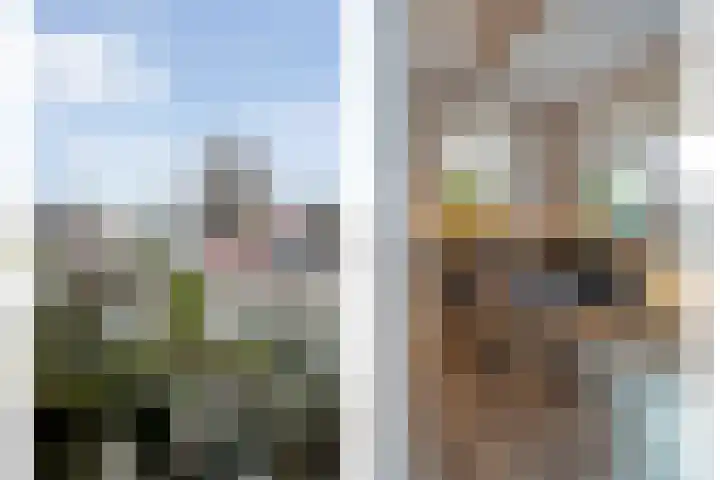 Zandspeur 16 Nieuwleusen thumbnail 17