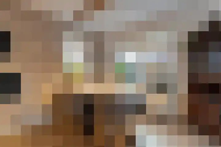Zandspeur 16 Nieuwleusen thumbnail 18