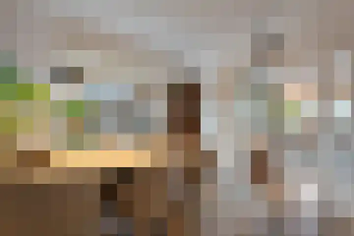 Zandspeur 16 Nieuwleusen thumbnail 19