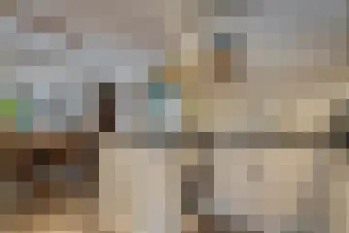 Zandspeur 16 Nieuwleusen thumbnail 21