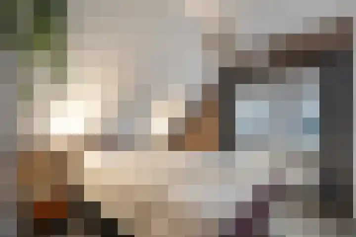 Zandspeur 16 Nieuwleusen thumbnail 25