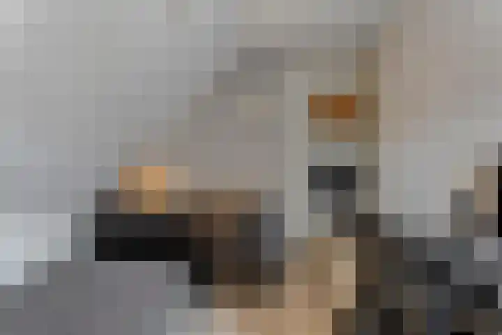 Zandspeur 16 Nieuwleusen thumbnail 26