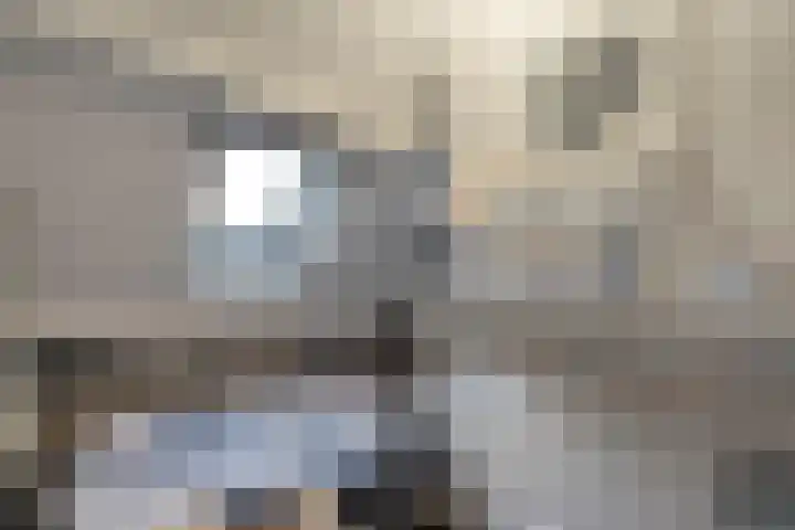 Zandspeur 16 Nieuwleusen thumbnail 29