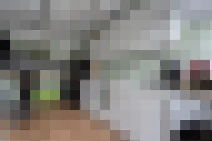 Zandspeur 16 Nieuwleusen thumbnail 35