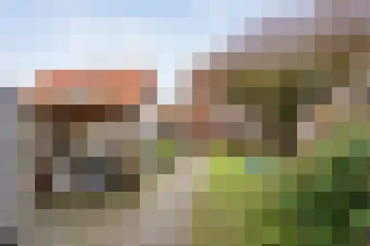 Zandspeur 16 Nieuwleusen thumbnail 36