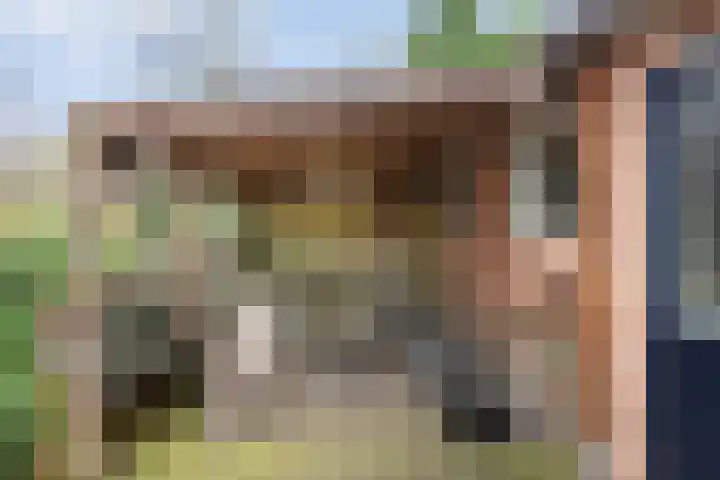 Zandspeur 16 Nieuwleusen thumbnail 38