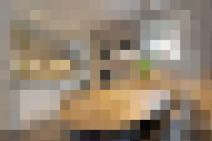 Zandspeur 16 Nieuwleusen thumbnail 4