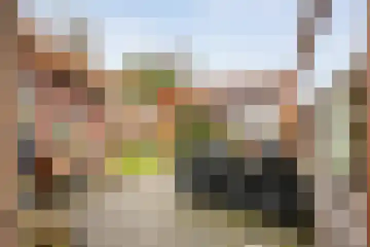 Zandspeur 16 Nieuwleusen thumbnail 40