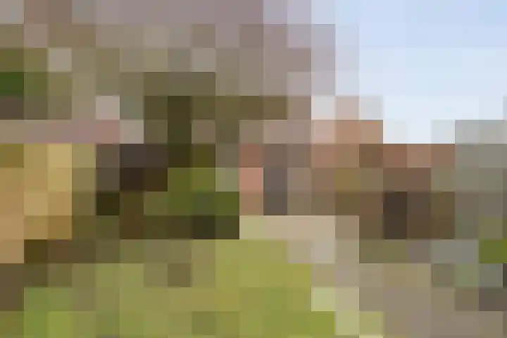 Zandspeur 16 Nieuwleusen thumbnail 5