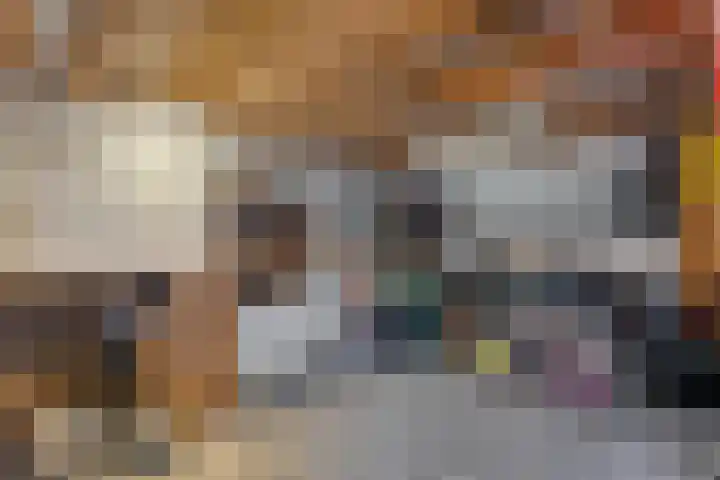 Zandspeur 16 Nieuwleusen thumbnail 6