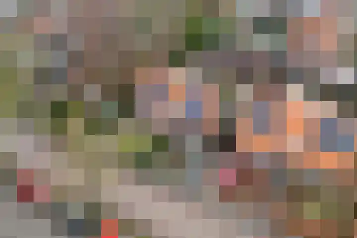 Zandspeur 16 Nieuwleusen thumbnail 7