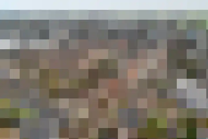 Zandspeur 16 Nieuwleusen thumbnail 8