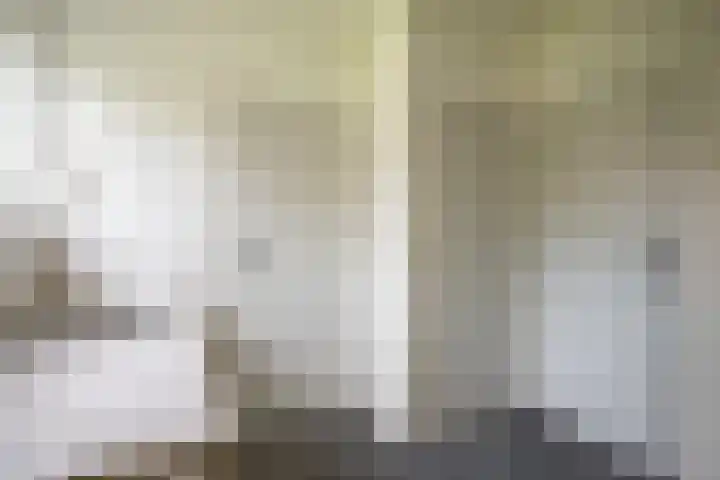 Zandspeur 38 Nieuwleusen thumbnail 10