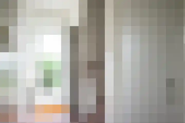Zandspeur 38 Nieuwleusen thumbnail 13
