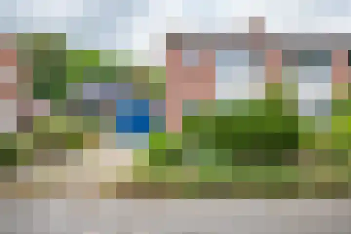 Zandspeur 38 Nieuwleusen foto 2