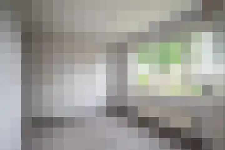 Zandspeur 38 Nieuwleusen thumbnail 22