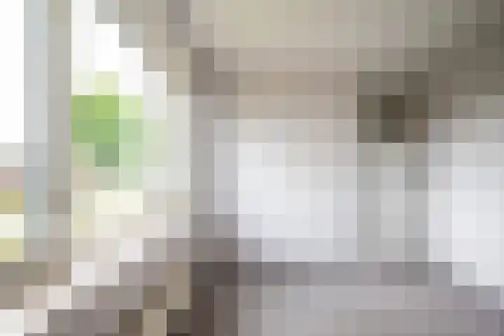 Zandspeur 38 Nieuwleusen thumbnail 23