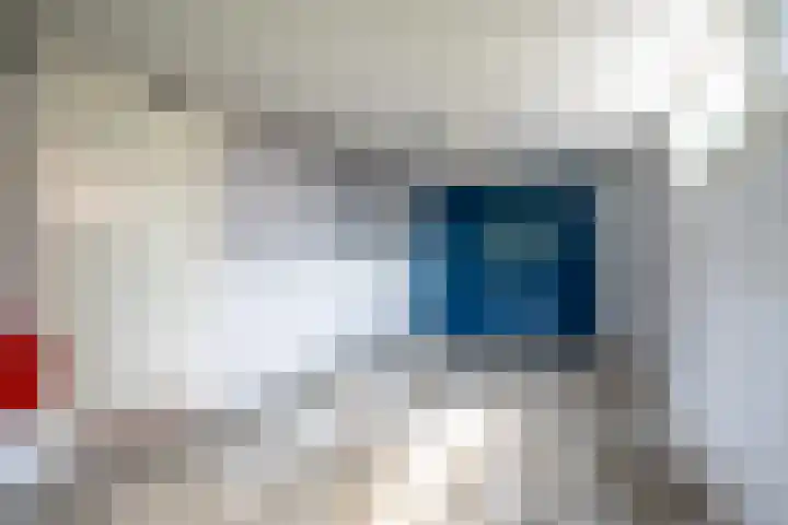 Zandspeur 38 Nieuwleusen thumbnail 27