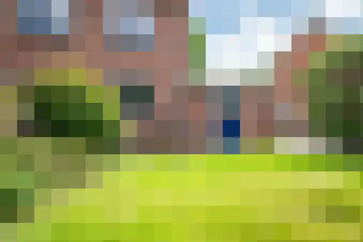 Zandspeur 38 Nieuwleusen thumbnail 30