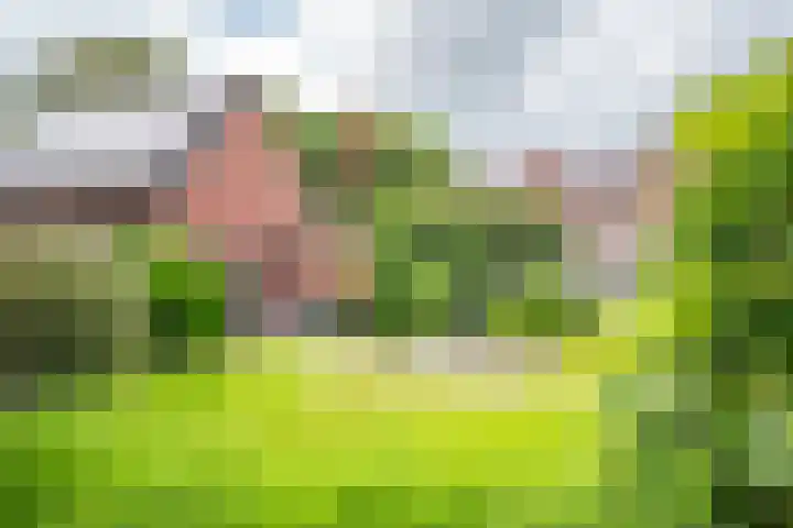 Zandspeur 38 Nieuwleusen thumbnail 31