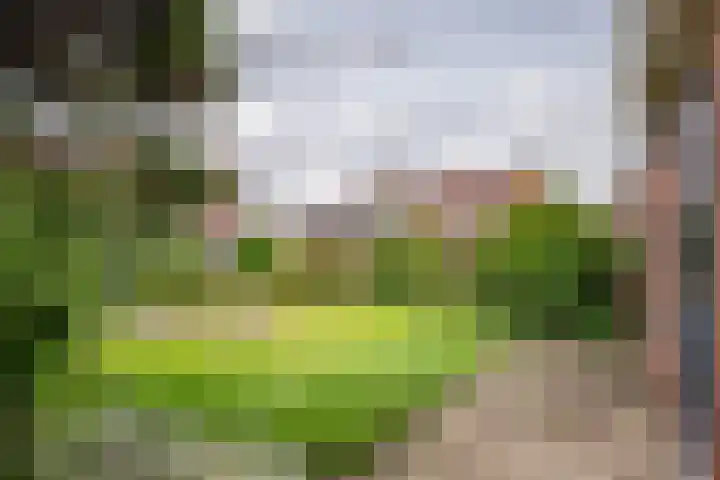 Zandspeur 38 Nieuwleusen thumbnail 32