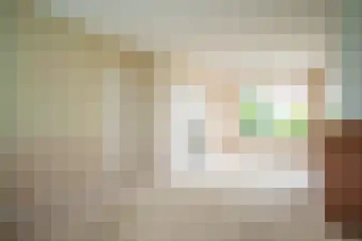 Zandspeur 38 Nieuwleusen thumbnail 8