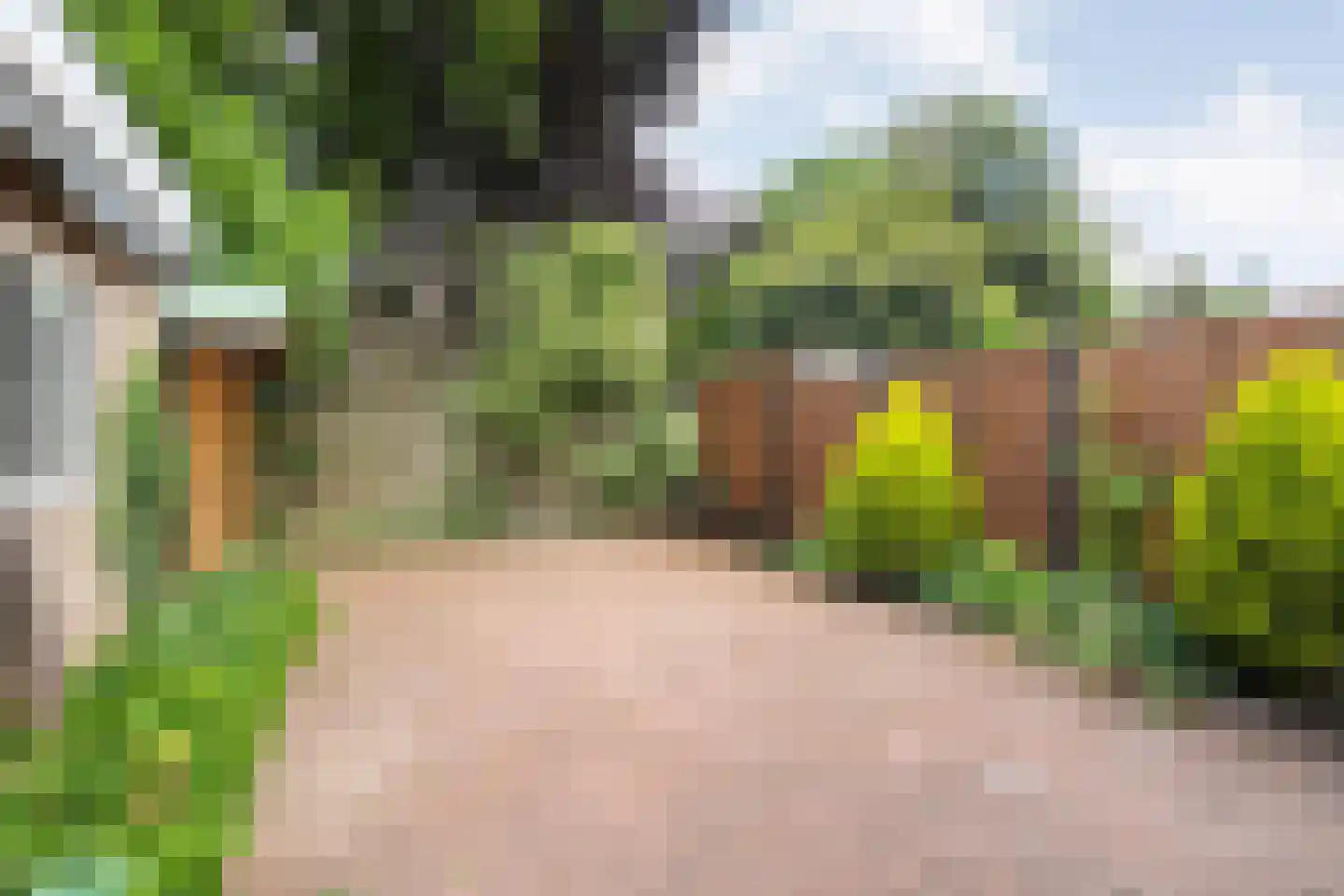 Zandspeur 46 Nieuwleusen thumbnail 25