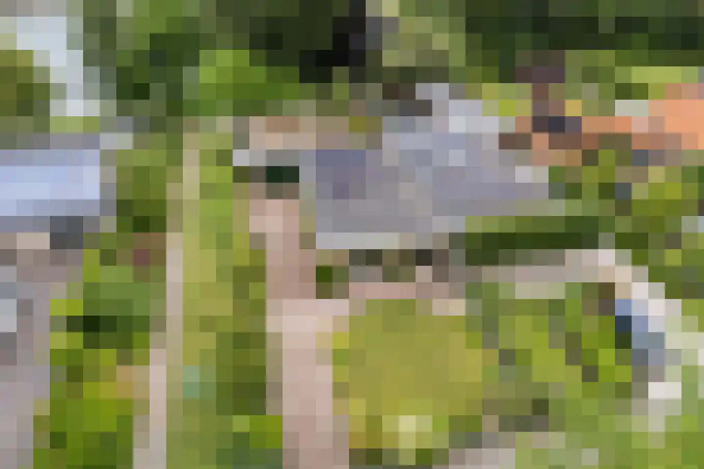 Zandspeur 46 Nieuwleusen thumbnail 33