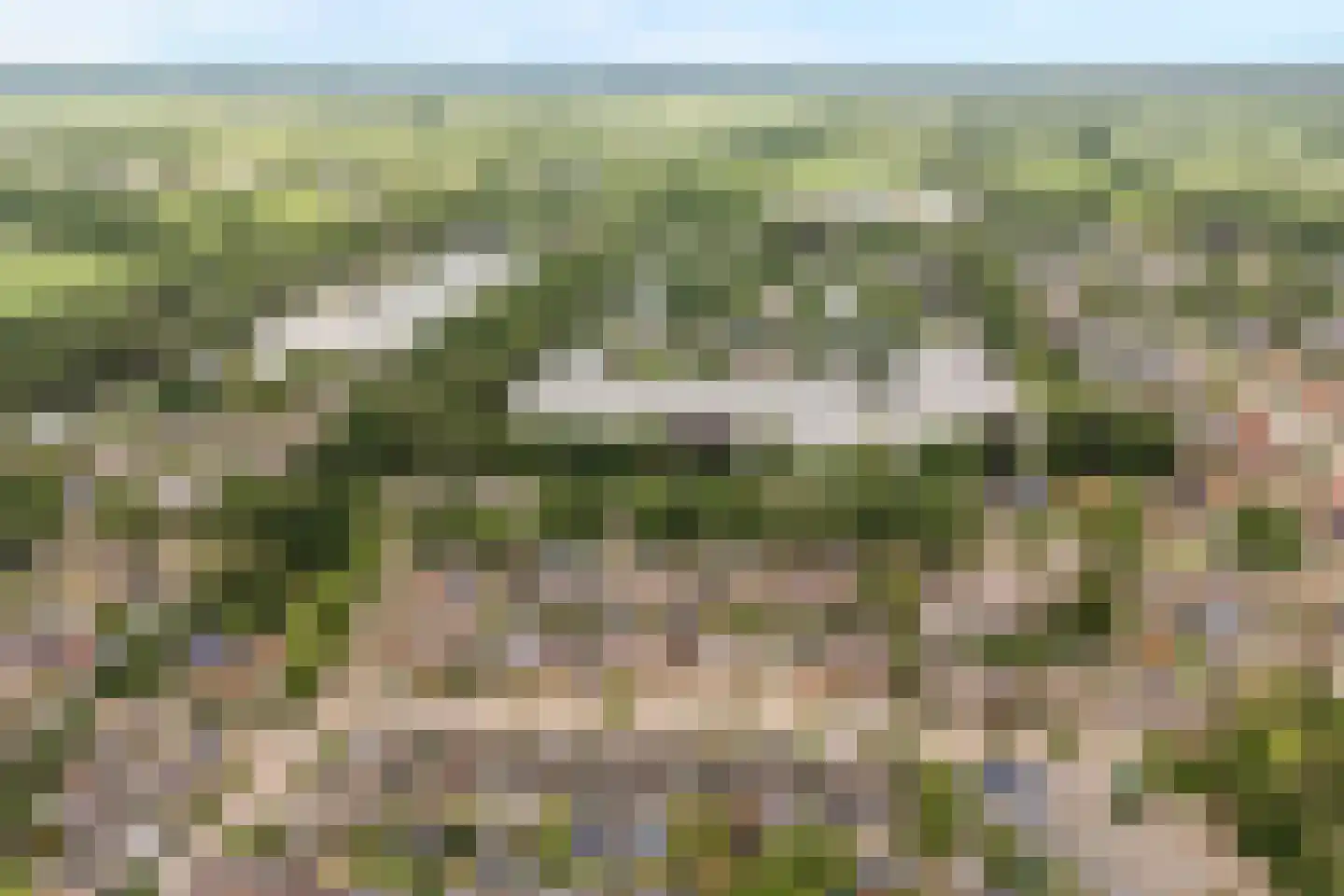 Zandspeur 46 Nieuwleusen thumbnail 34
