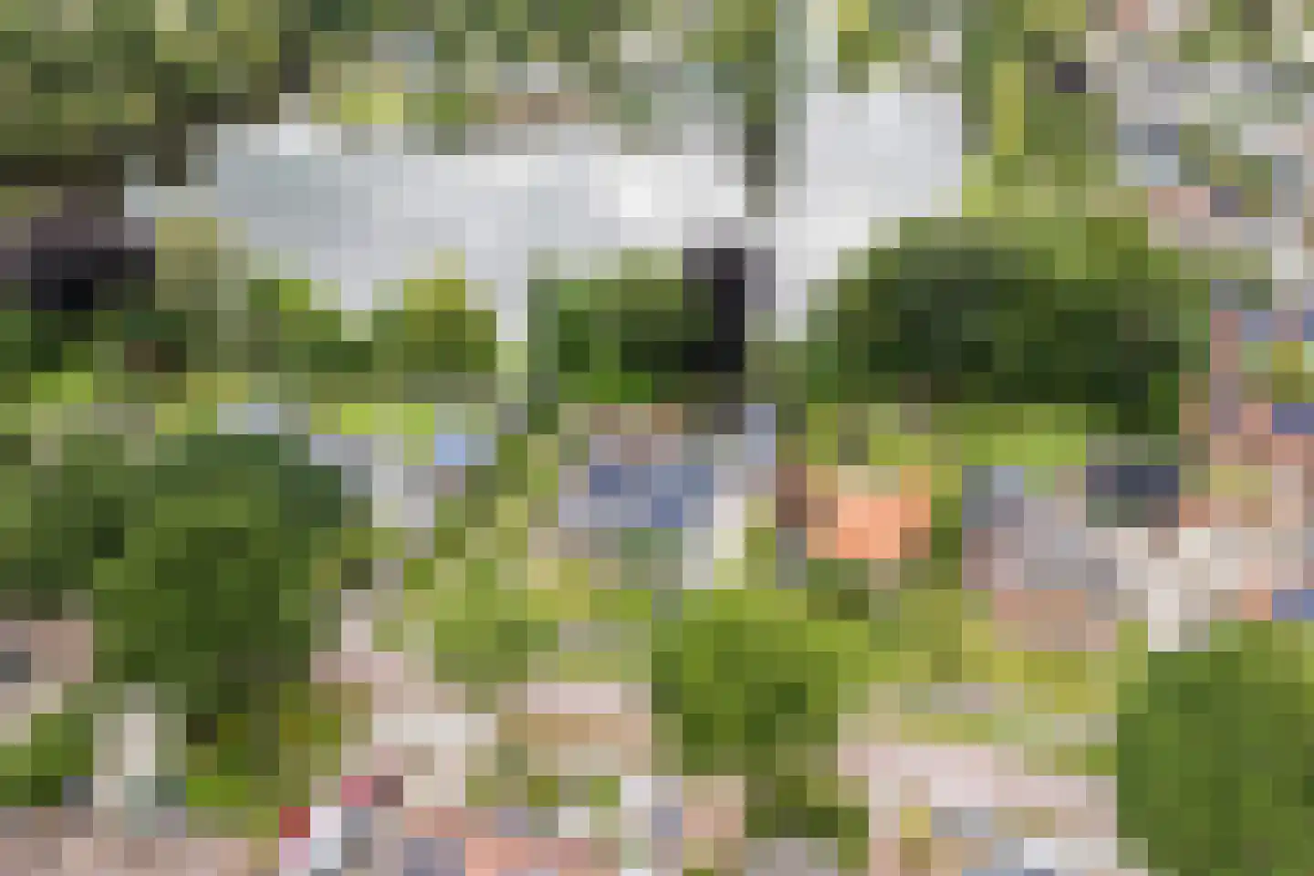 Zandspeur 46 Nieuwleusen thumbnail 35