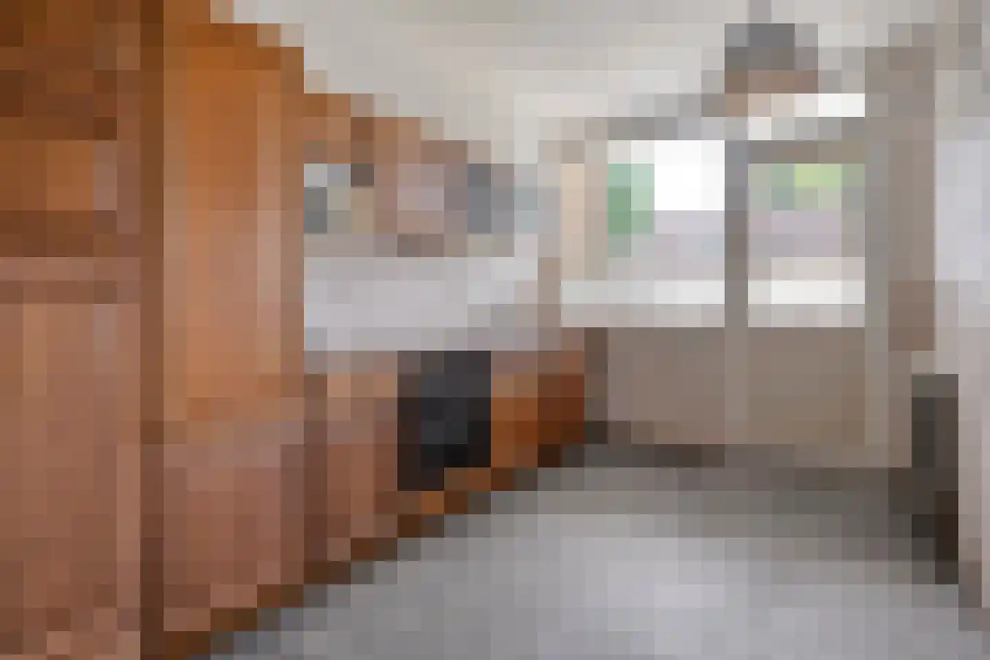 Zandspeur 46 Nieuwleusen thumbnail 9
