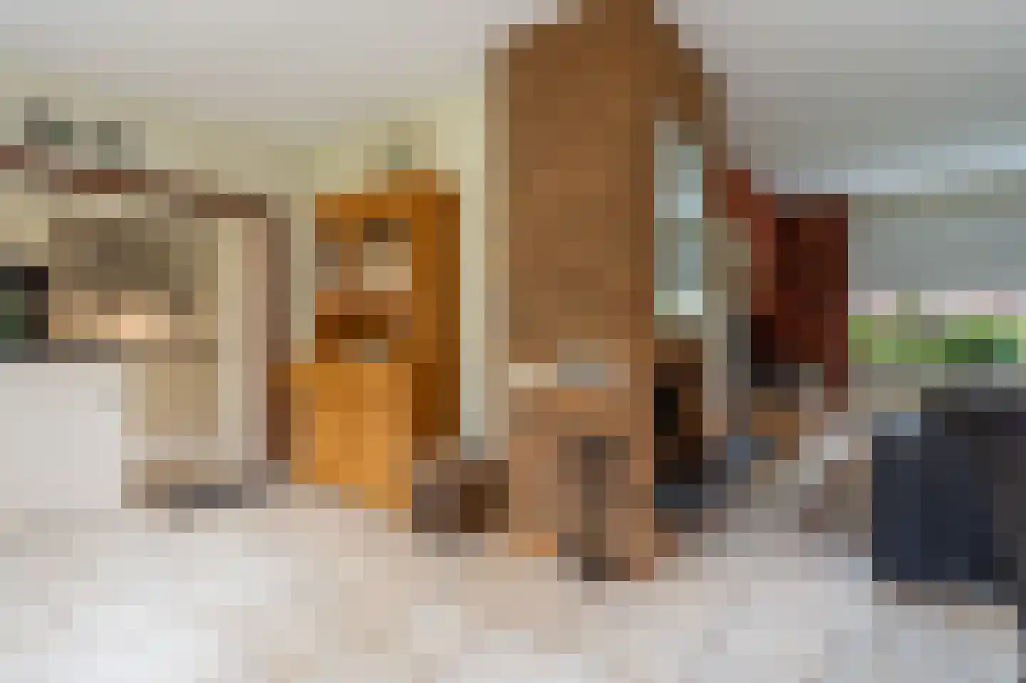 Zandspeur 54 Nieuwleusen thumbnail 14