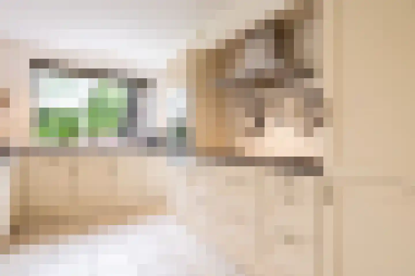 Zandspeur 54 Nieuwleusen thumbnail 15