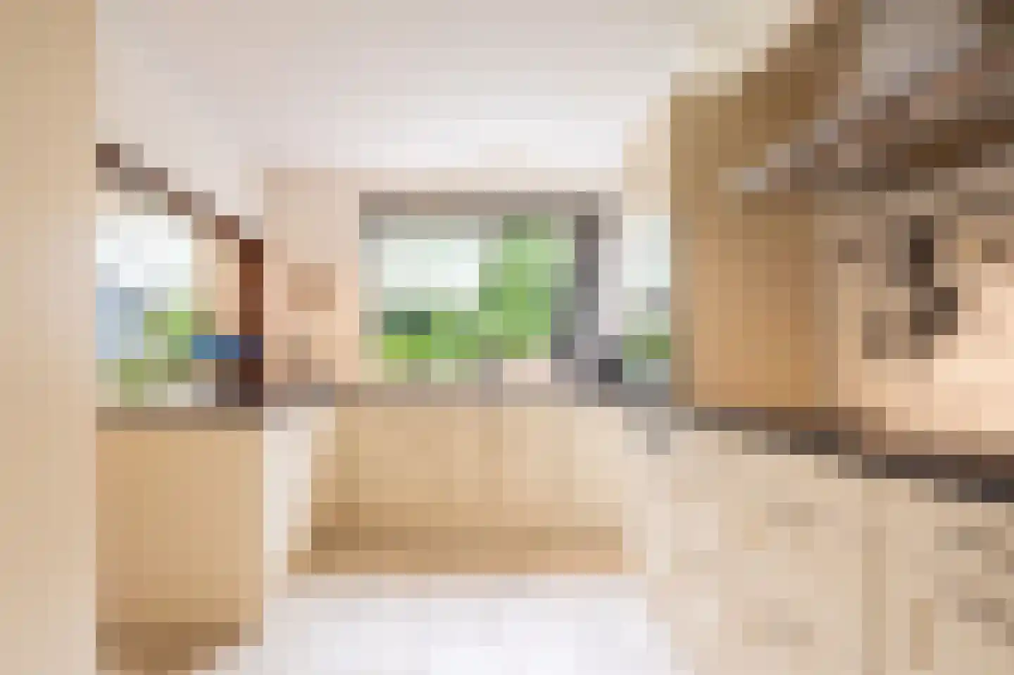 Zandspeur 54 Nieuwleusen thumbnail 16