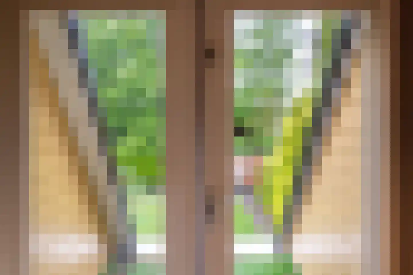 Zandspeur 54 Nieuwleusen thumbnail 26