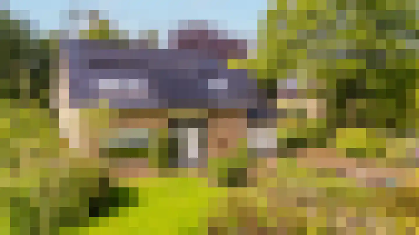 Zandspeur 54 Nieuwleusen thumbnail 37