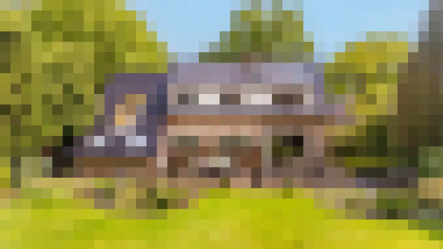 Zandspeur 54 Nieuwleusen thumbnail 38