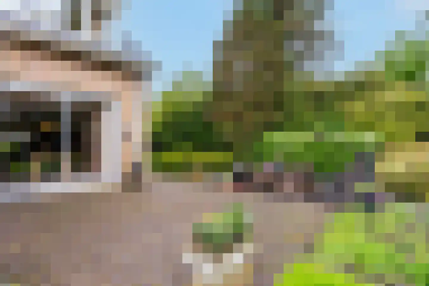 Zandspeur 54 Nieuwleusen thumbnail 39