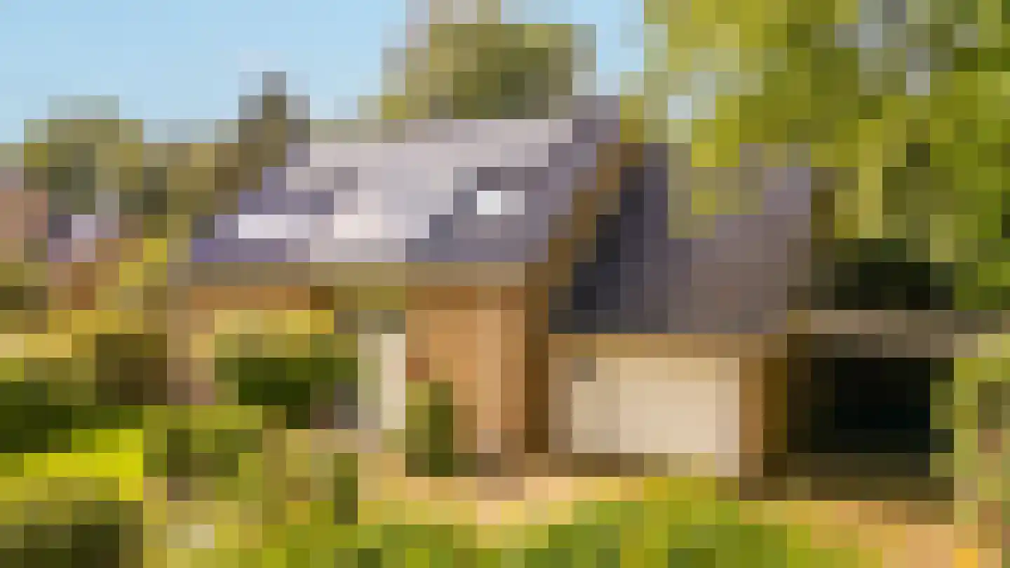 Zandspeur 54 Nieuwleusen thumbnail 4