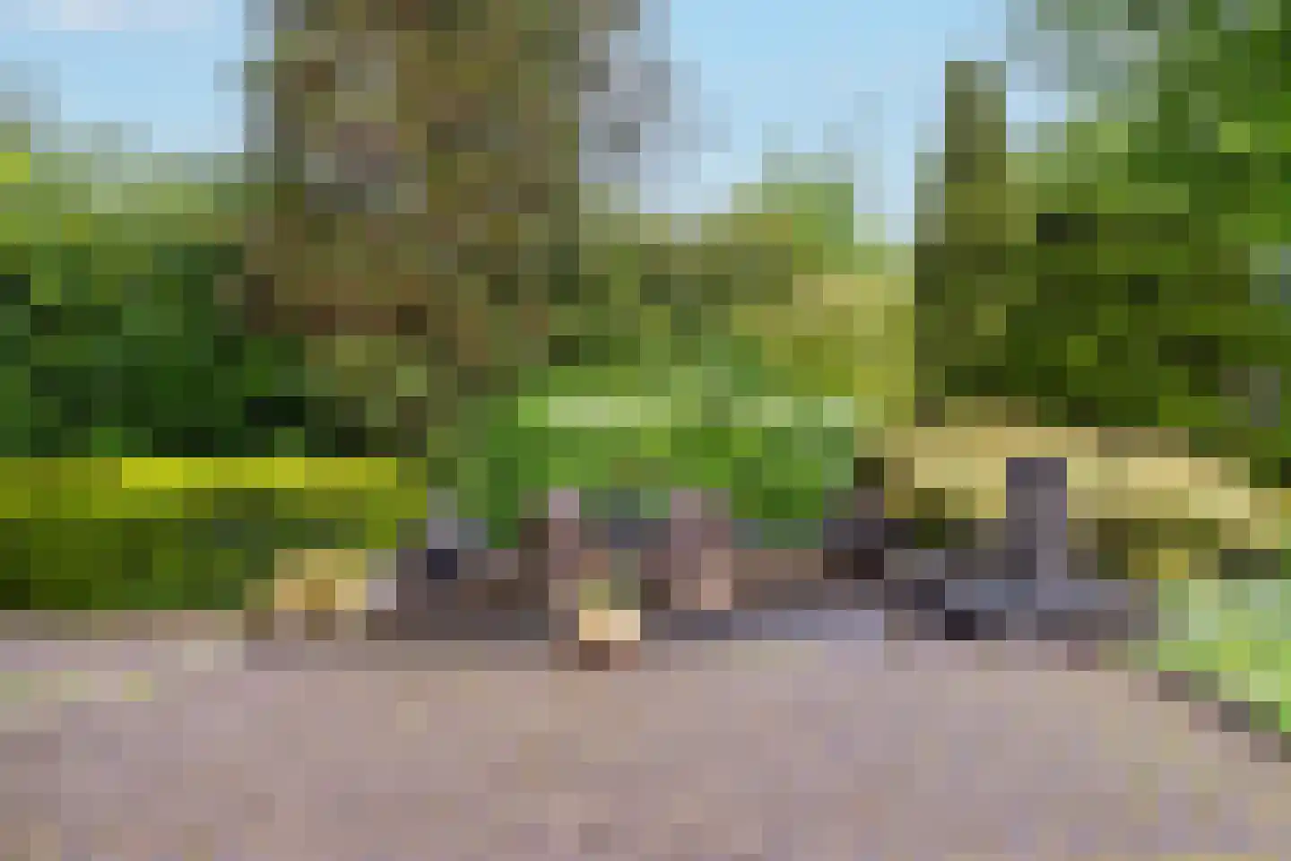 Zandspeur 54 Nieuwleusen thumbnail 40