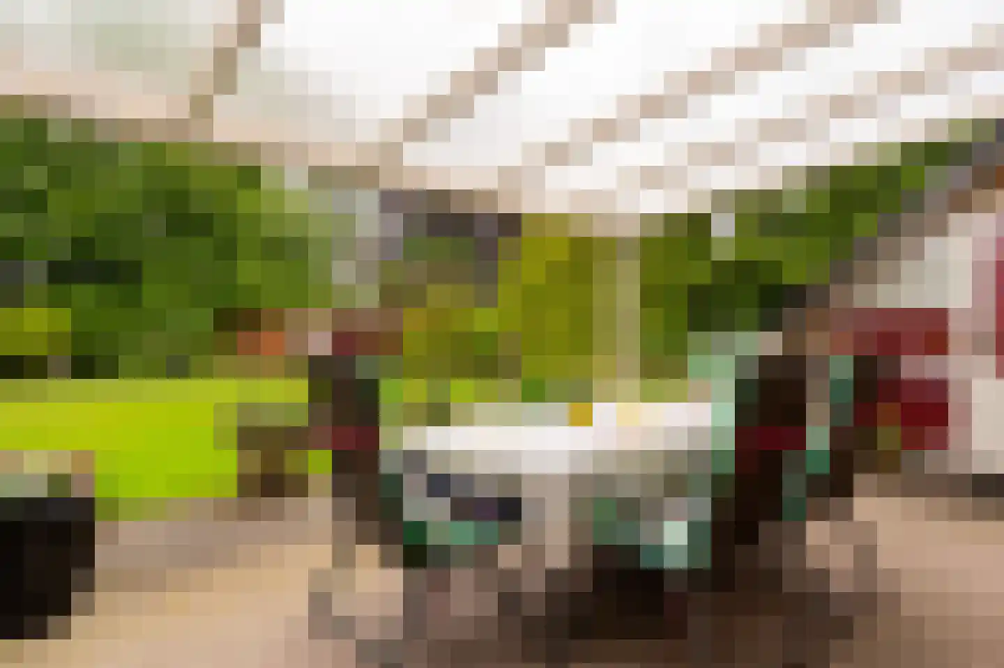 Zandspeur 54 Nieuwleusen thumbnail 42
