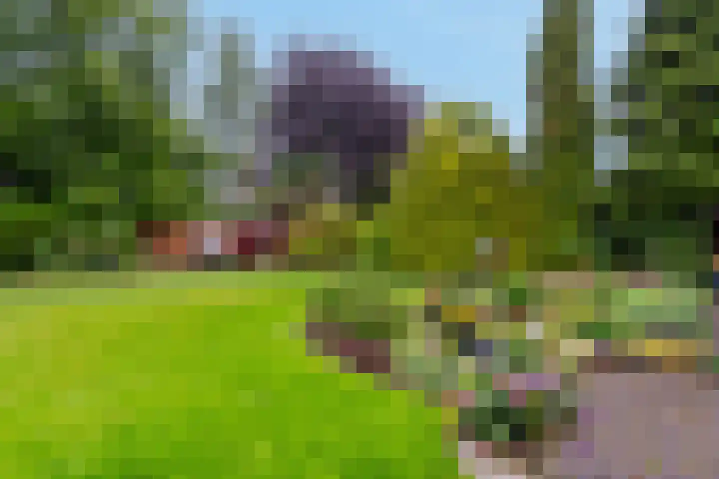 Zandspeur 54 Nieuwleusen thumbnail 44