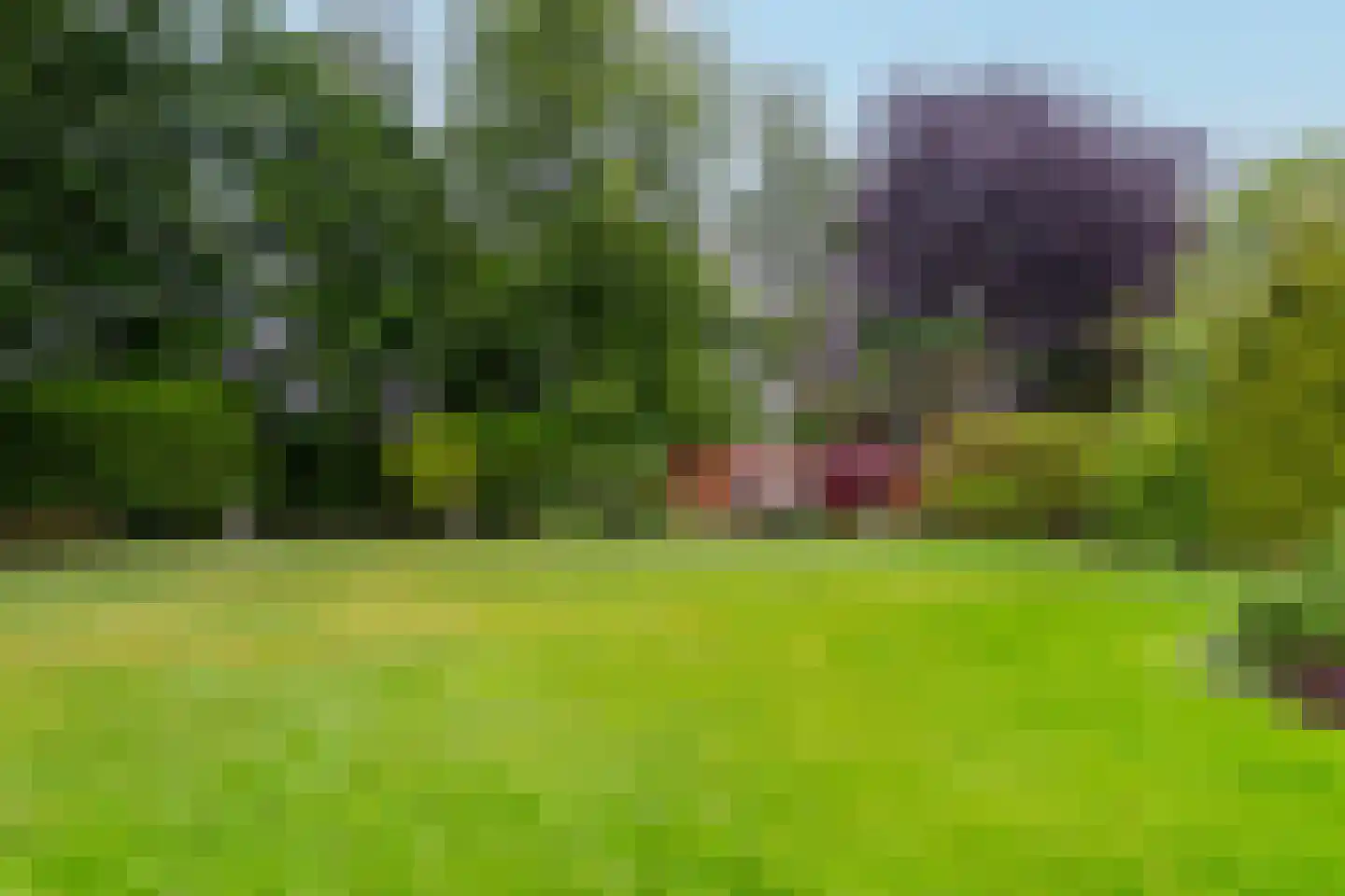Zandspeur 54 Nieuwleusen thumbnail 45