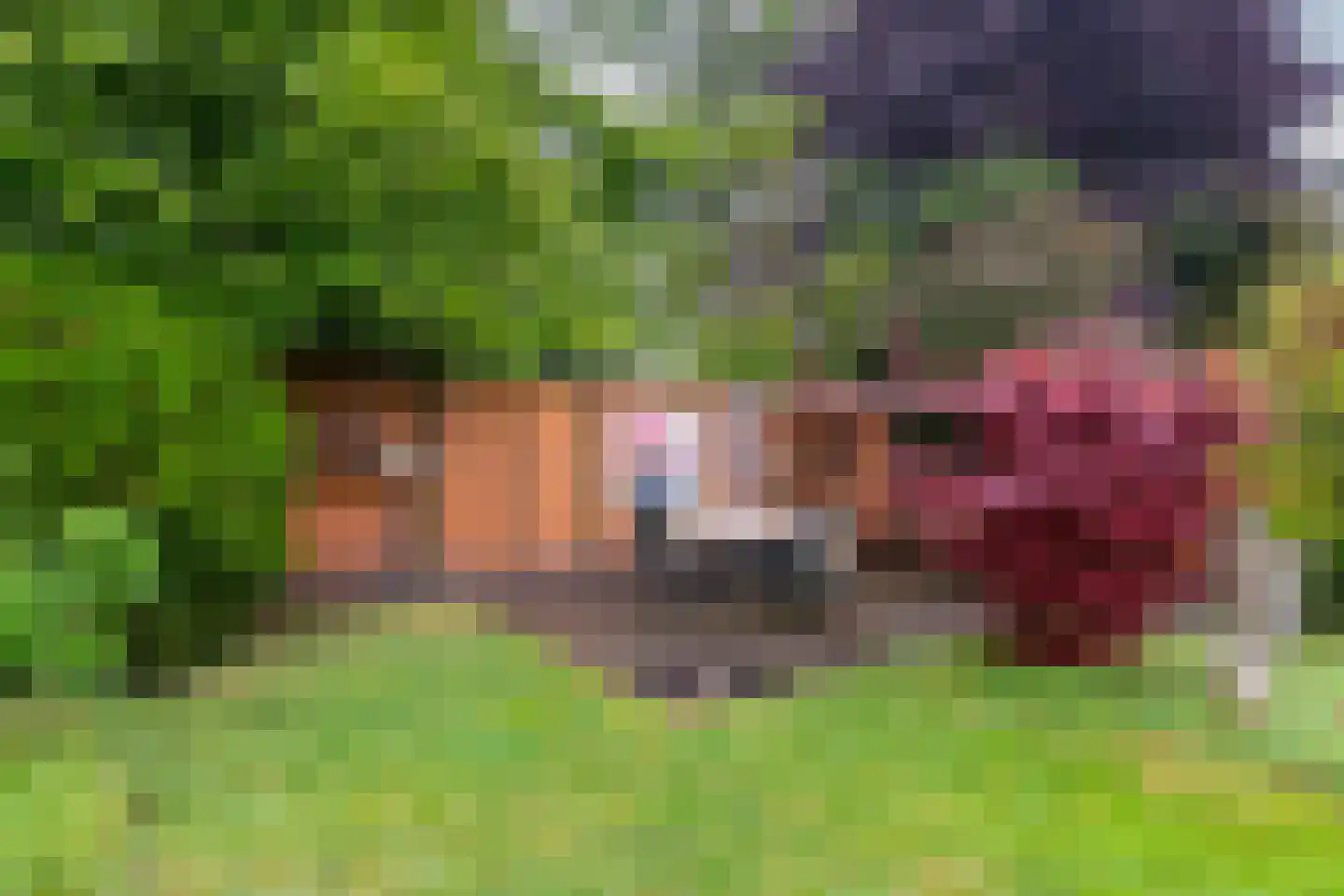 Zandspeur 54 Nieuwleusen thumbnail 46