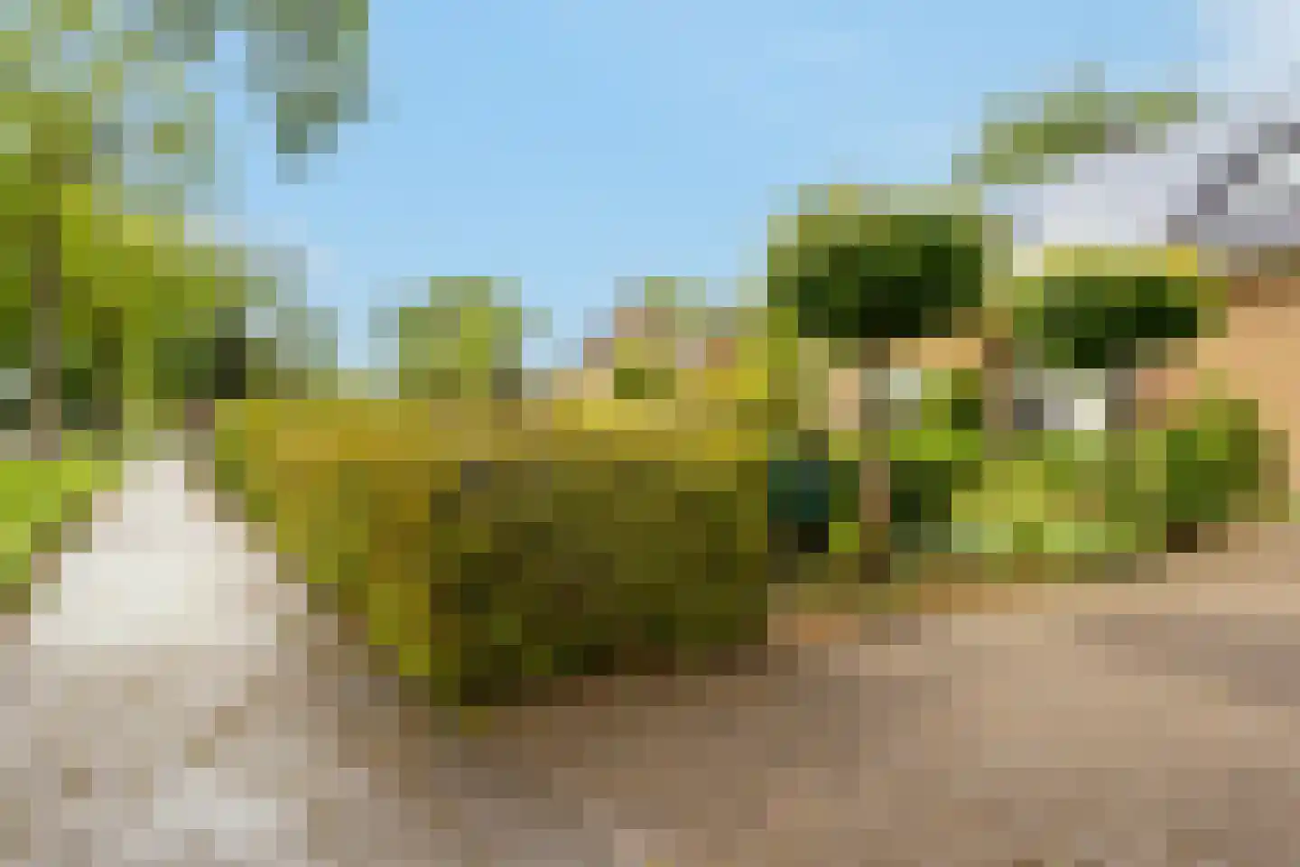 Zandspeur 54 Nieuwleusen thumbnail 49