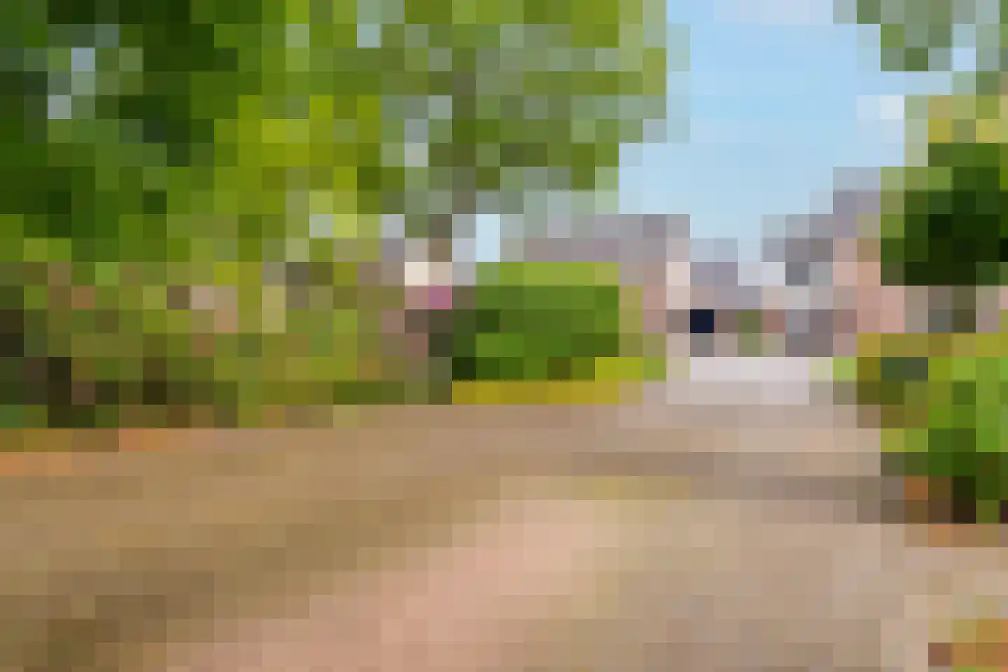 Zandspeur 54 Nieuwleusen thumbnail 50