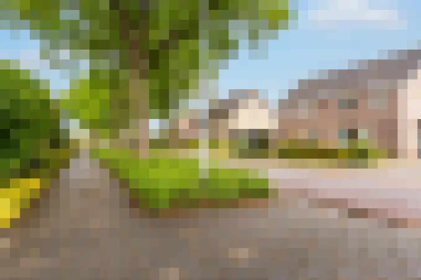 Zandspeur 54 Nieuwleusen thumbnail 51